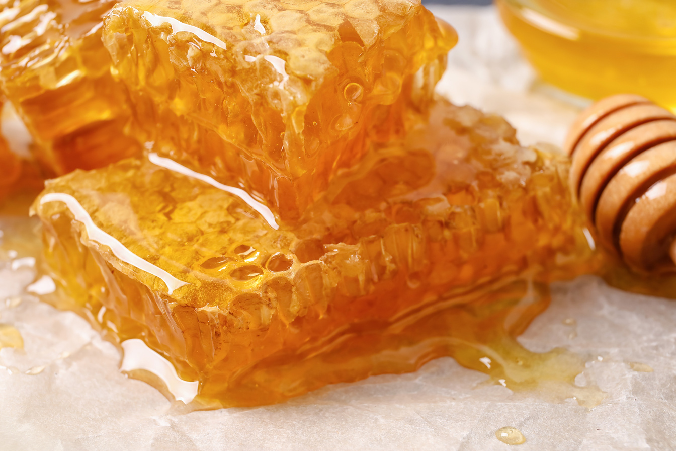 Organic Honey Combs on Parchment, Closeup